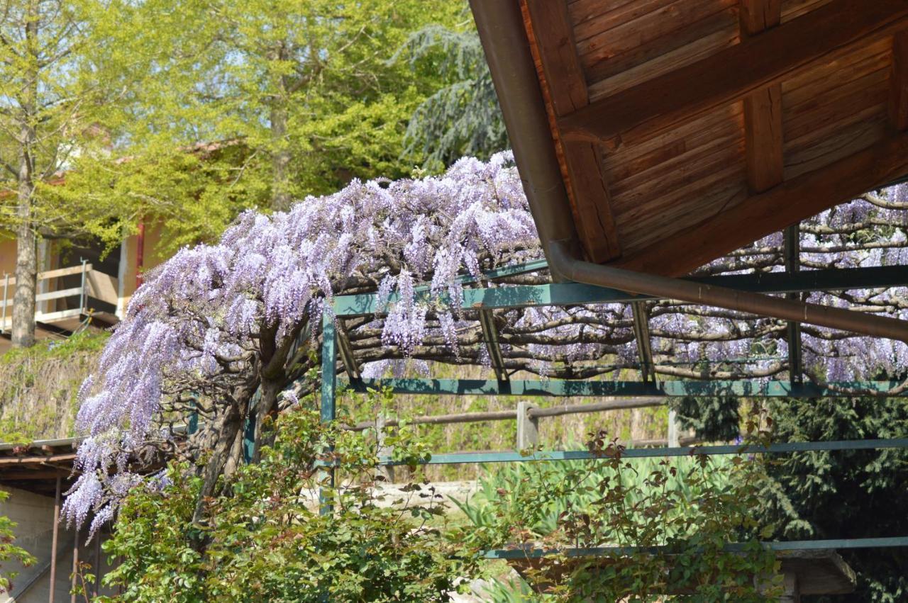 L'Uovo E La Faina Bed and Breakfast Busca Exteriör bild