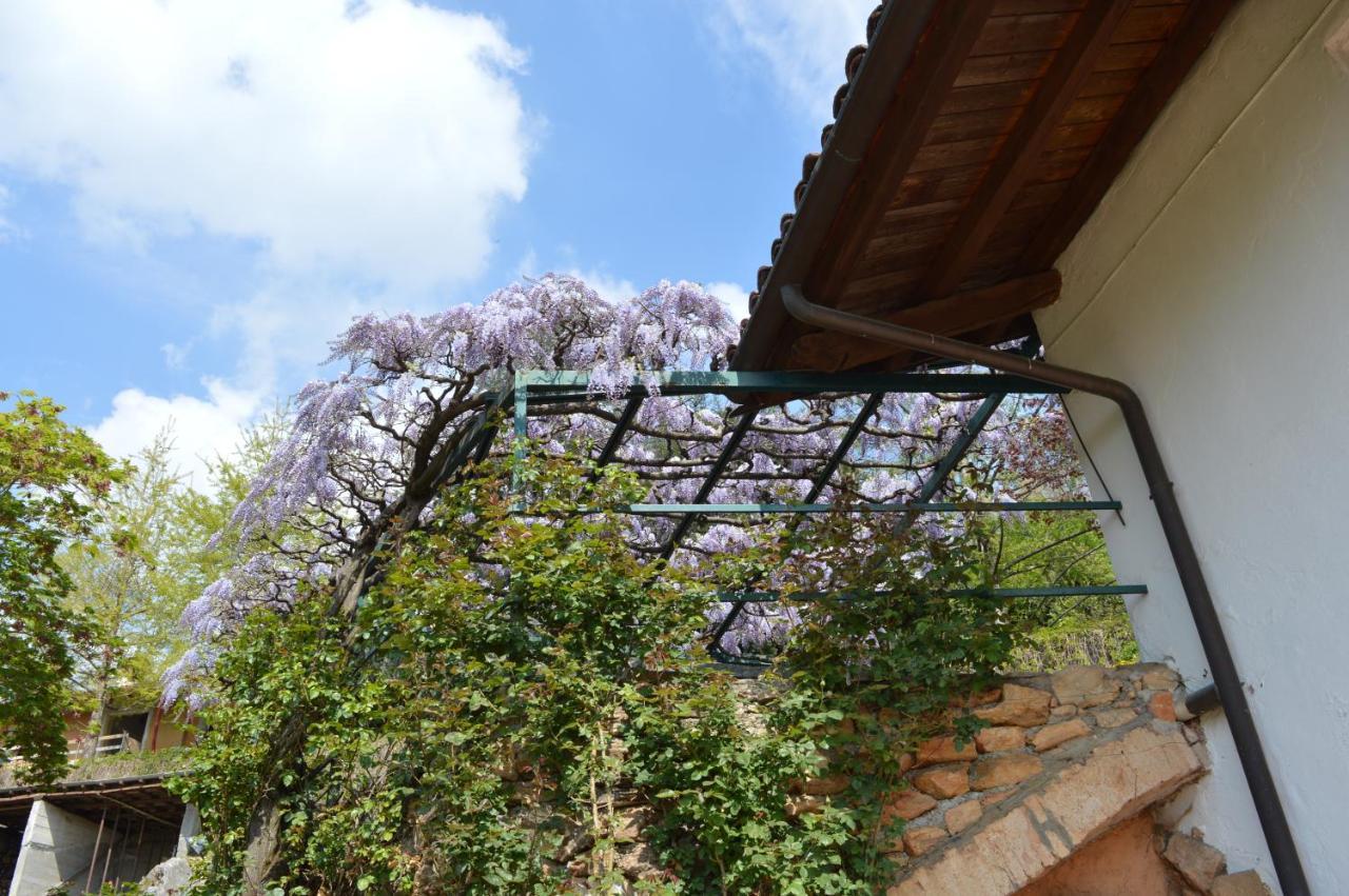 L'Uovo E La Faina Bed and Breakfast Busca Exteriör bild
